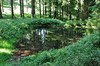 Oberhof - Veilchenbrunnen - Sterngrund Bild 5