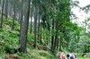 Leinagrund - Brandleiteteich - Finsterbergen Bild 2