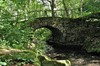 Leinagrund - Brandleiteteich - Finsterbergen Bild 1