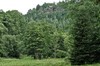 Leinagrund - Brandleiteteich - Finsterbergen Bild 4