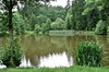 Leinagrund - Brandleiteteich - Finsterbergen Bild 5