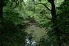 Unteres Ilmtal - Obertrebra - Wickerstedt - Poche Bild 1