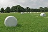 Unteres Ilmtal - Obertrebra - Wickerstedt - Poche Bild 2