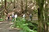 Finsterbergen - Kühles Tal - Friedrichroda Bild 6