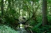 Utenbacher Schweiz Bild 1