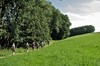 Utenbacher Schweiz Bild 4