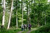 Inselsberg - Winterstein Bild 1