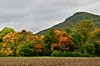 Mechterstädt - Sättelstädt Bild 4
