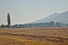 Kranichflug bei Kelbra Bild 3