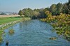 Kranichflug bei Kelbra Bild 4