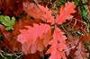 Tabarz - Schnepfenthal Bild 1