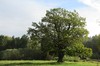 Tabarz - Schnepfenthal Bild 6