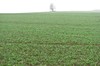 Hopfgarten - Tröbsdorf - Weimar Bild 1