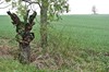 Hopfgarten - Tröbsdorf - Weimar Bild 5