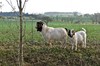Thüngeda - Harth - Reichenbach Bild 3