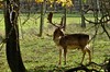 Thüngeda - Harth - Reichenbach Bild 7