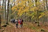 Thüngeda - Harth - Reichenbach Bild 8