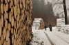Tambach-Dietharz - Nesselberg Bild 2