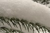 Tambach-Dietharz - Nesselberg Bild 1