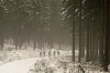 Tambach-Dietharz - Nesselberg Bild 3