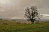 Waltershausen - Deysingslust Bild 4