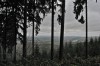 Georgenthal - Wechmarer Hütte Bild 1